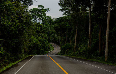 Empty road along trees