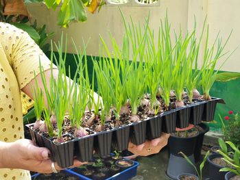 People in potted plants