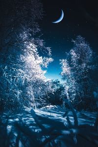 Scenic view of snow covered land and trees against sky