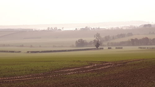 Scenic view of field against sky