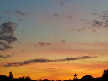 Low angle view of silhouette trees against sky during sunset