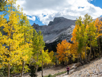 Scenic view of trees and mountains against sky during autumn