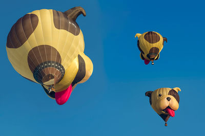 Hot air balloon special shape of a dogs head. 3 pictures in one. warstein international montgolfiade