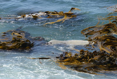 High angle view of beach