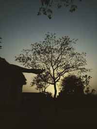 Low angle view of bare trees against sky