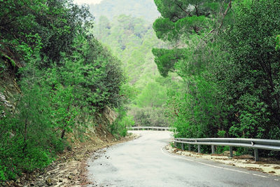 Road amidst trees in forest