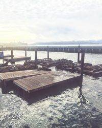 View of pier against cloudy sky