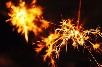 Close-up of firework display at night