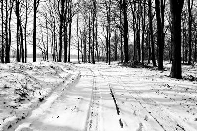 Bare trees on snow covered landscape