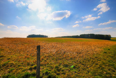 Scenic view of agricultural field against sky