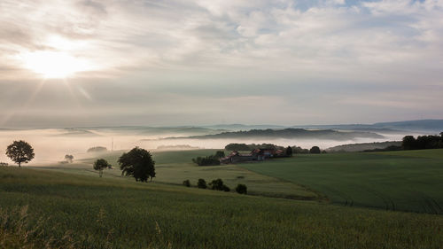 Scenic view of field against sky