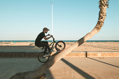 Side view full length of man doing stunt with bicycle by beach on tree