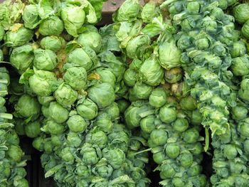 Full frame shot of vegetables