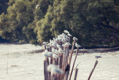 Close-up of water on beach