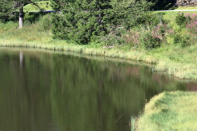 Scenic view of lake