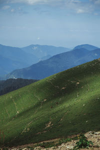 Scenic view of landscape against sky