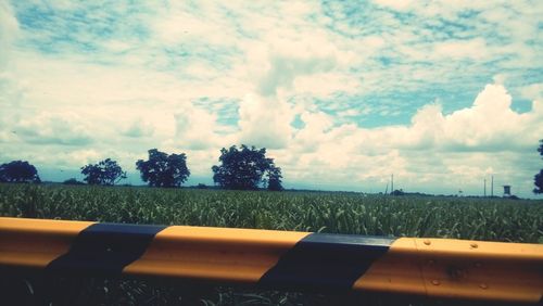 Scenic view of landscape against sky