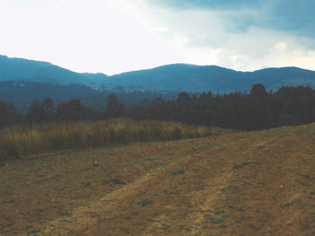 Scenic view of landscape against sky