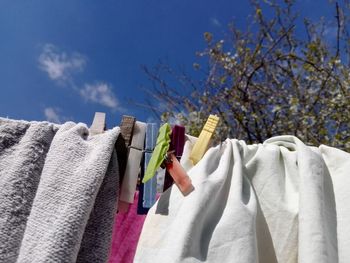 Close-up of clothes drying on clothesline