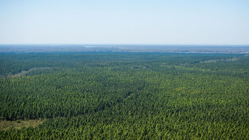 Scenic view of field against clear sky