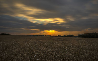 Scenic view of field against sky during sunset