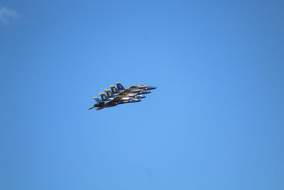 Low angle view of butterfly flying