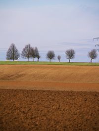 field