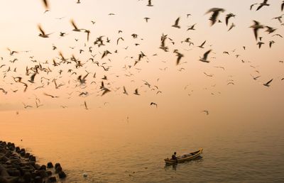 Flock of birds flying over sea against sky