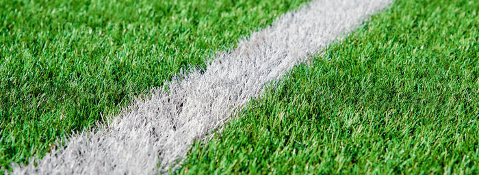 Green grass on sport field with white line