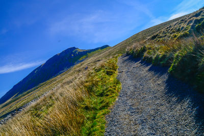 Scenic view of landscape against blue sky