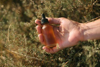 Midsection of man holding plant on field