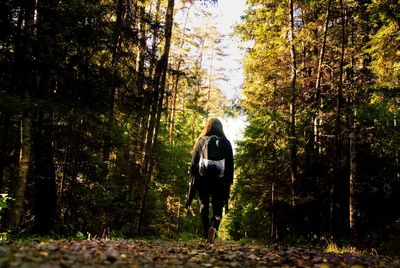 Rear view of man standing in forest