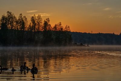 Ducks in scenic lake against sky during sunset