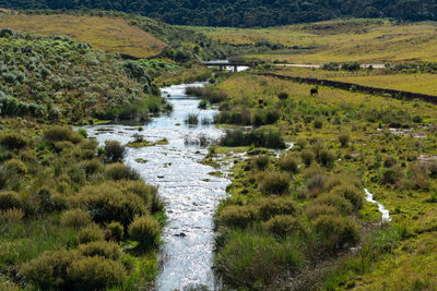 Scenic view of river