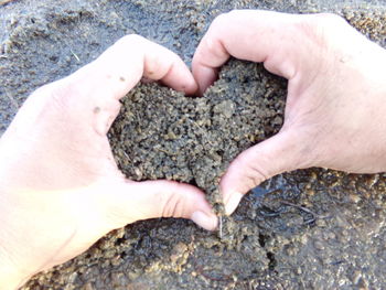 Close-up of hands on rock at beach