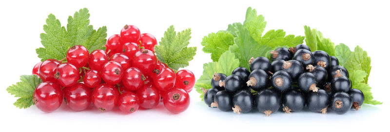 Close-up of fruits against white background