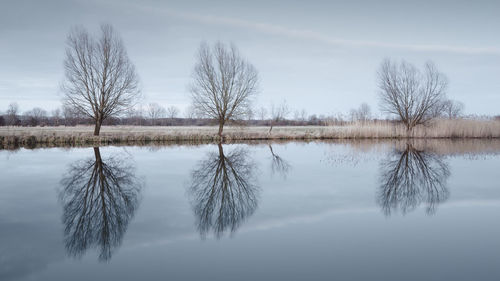 Reflection of trees in lake against sky