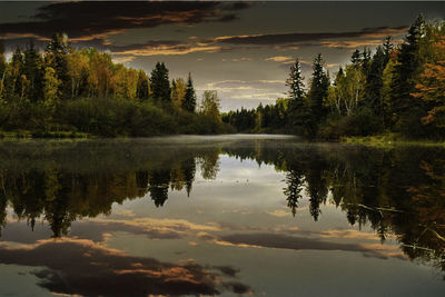 Reflection of trees in lake