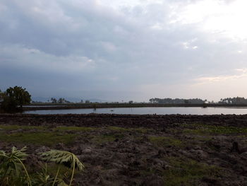 Scenic view of field against sky