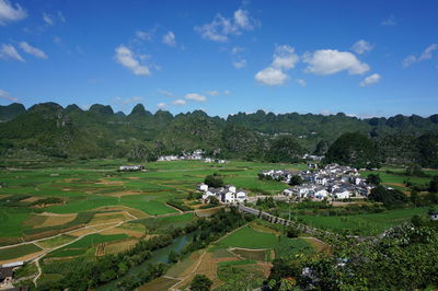 Scenic view of agricultural field against sky