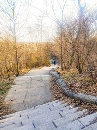 Road amidst bare trees during winter