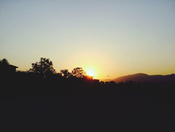 Silhouette of trees at sunset