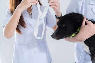 Midsection of woman with dog