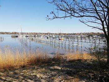 Sailboats in lake against sky