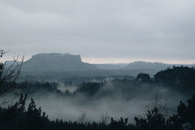 Panoramic shot of trees on landscape against sky