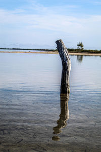 Wooden posts on beach against sky