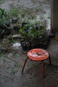 High angle view of red wood on field
