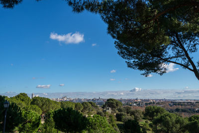 Trees and townscape against blue sky