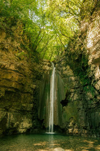 Waterfall with a forest on top