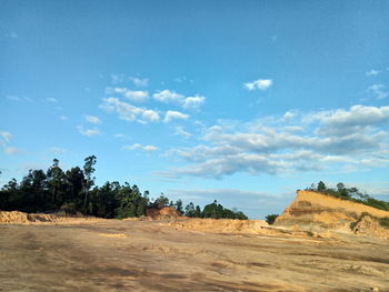 Trees on field against sky